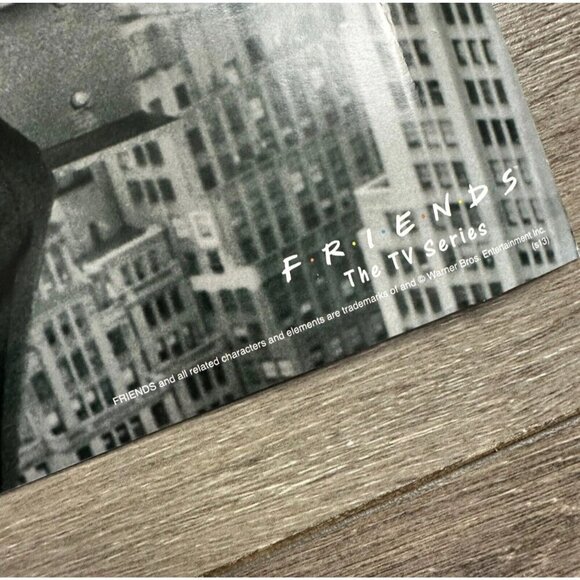 Y2K Friends TV Show Poster New York City Lunch Atop a Skyscraper 36x12 Rolled - Picture 3 of 7